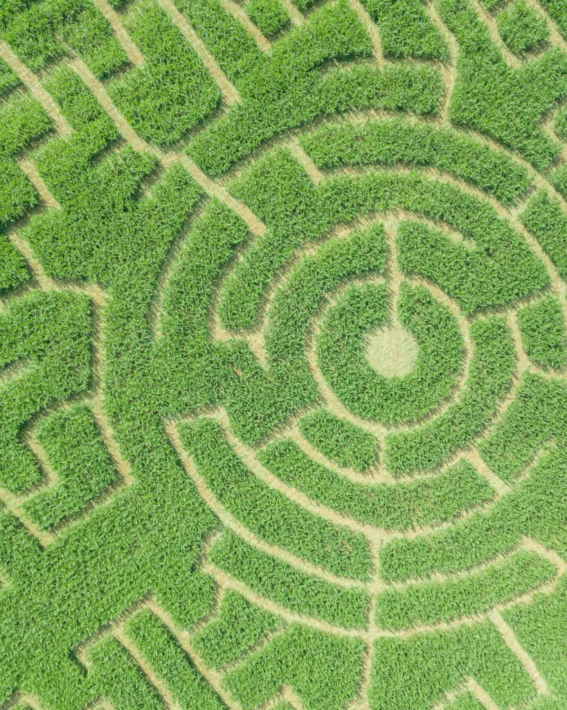Aerial view of circular maze trails cut into a field