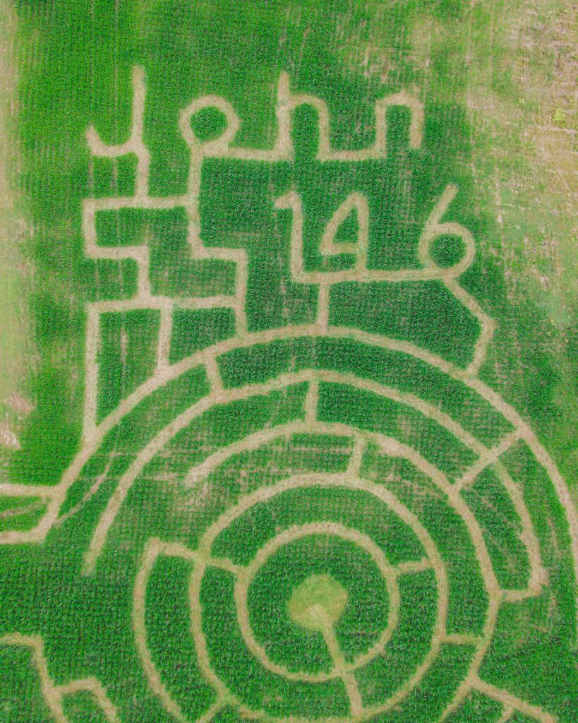Aerial view of a GPS-cut maze in a growing green field