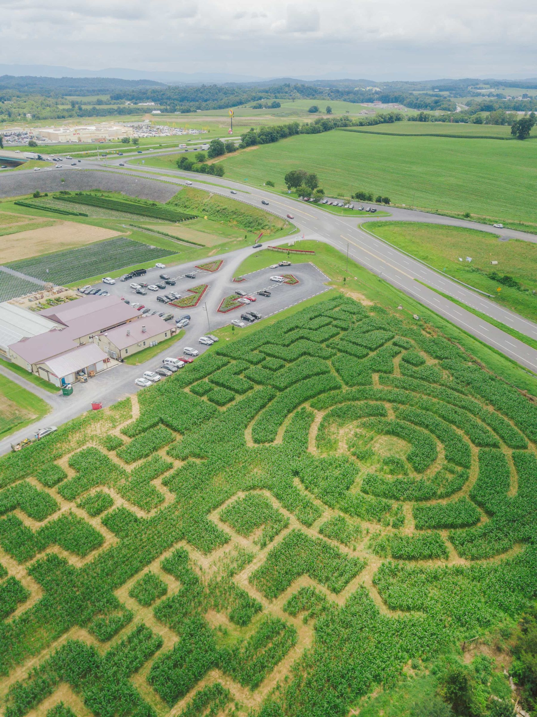 Aerial view of corn maze