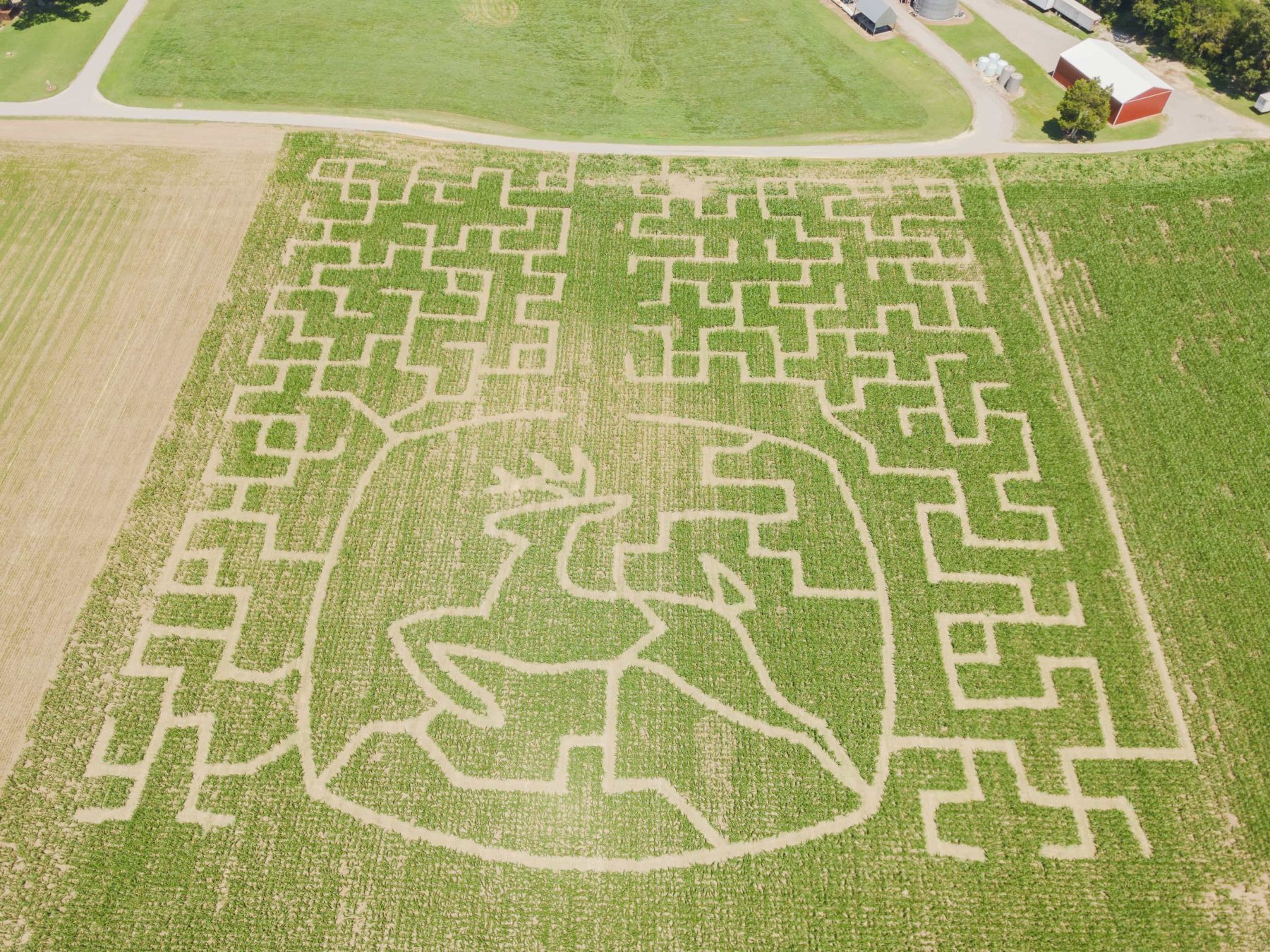 Aerial view of the 2026 Crowder Farms corn maze featuring a large John Deere logo surrounded by maze trails