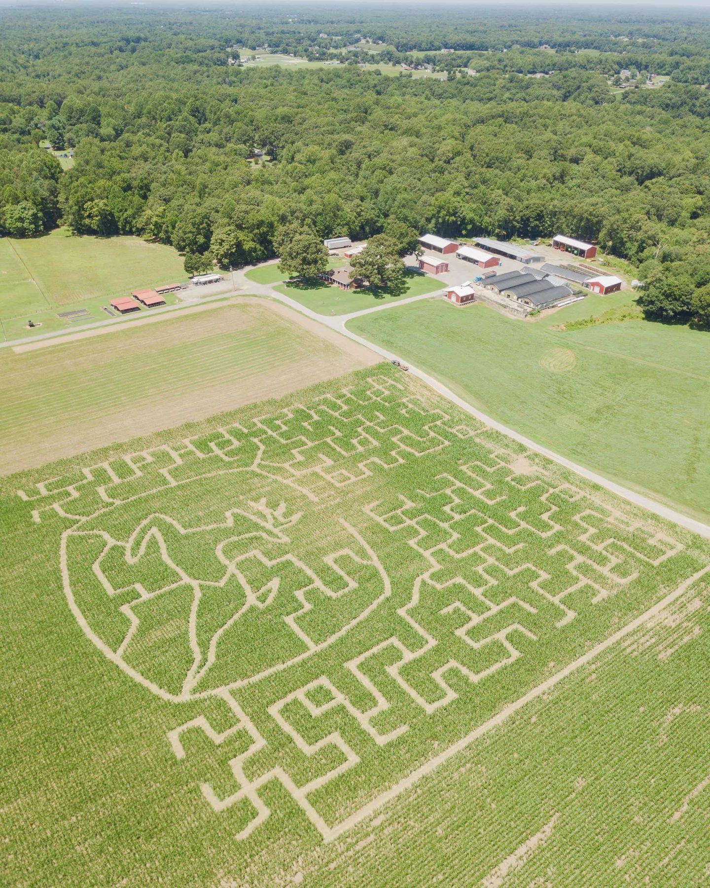 Wide aerial view of the 2026 Crowder Farms corn maze, farm buildings, and surrounding Mechanicsville countryside
