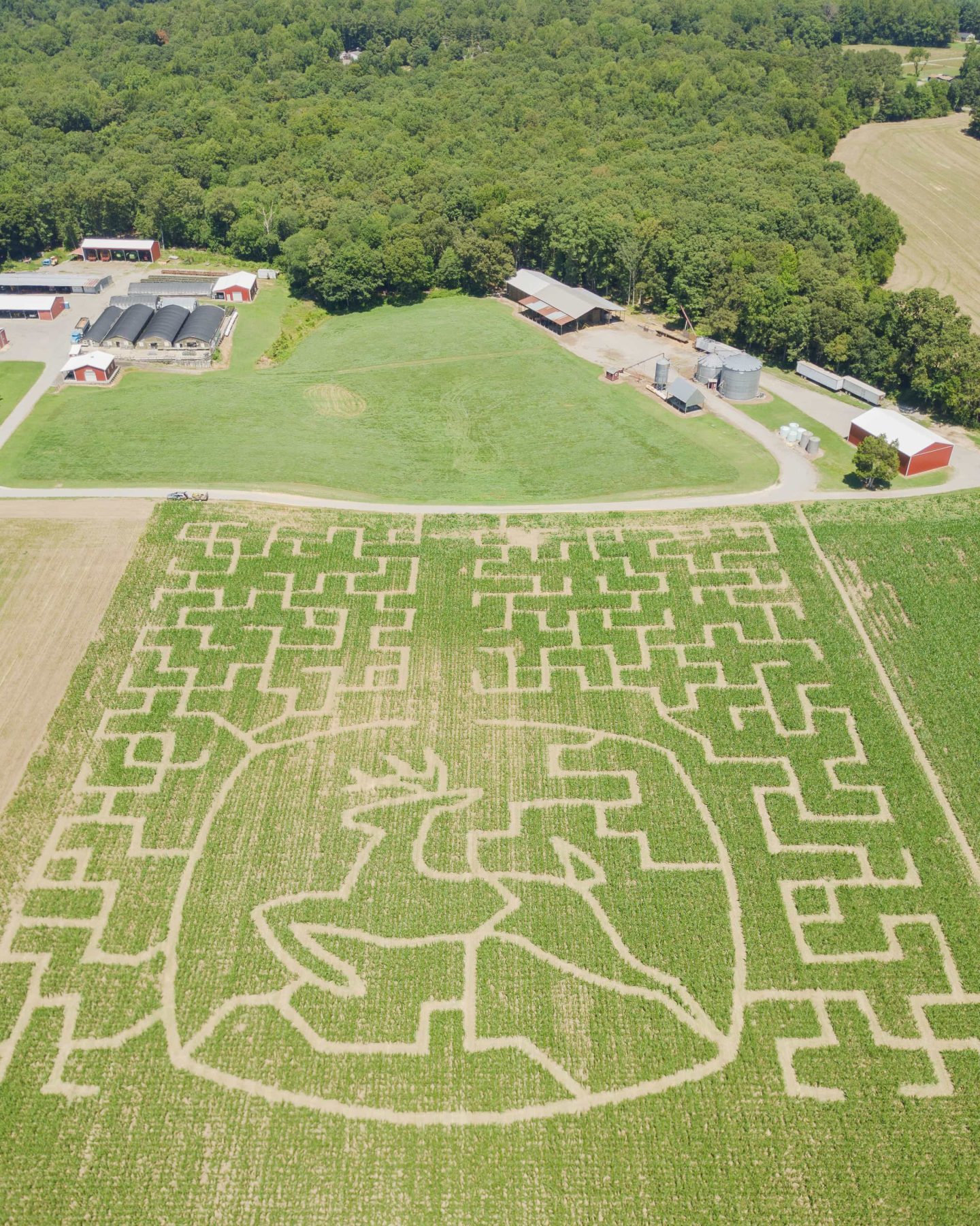 Aerial view of the Crowder Farms maze with the John Deere design in the foreground and farm buildings beyond the field