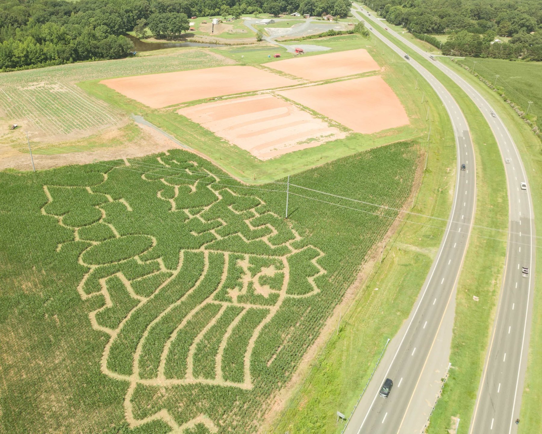 Angled aerial view of the Deer Run Farm corn maze beside the highway, showing the large 250 design and surrounding maze paths