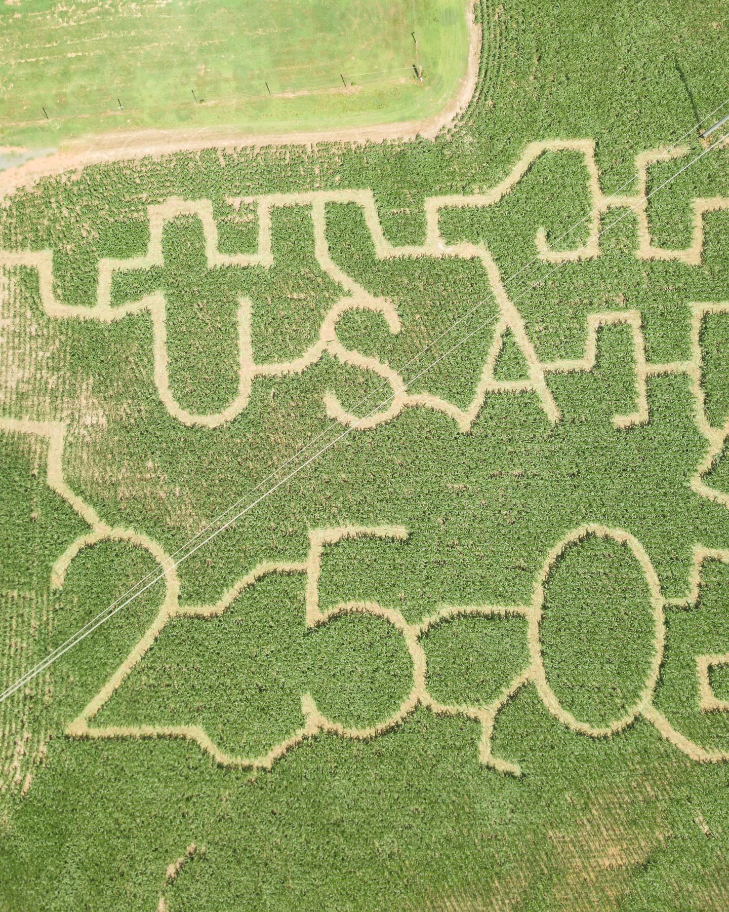 Straight-down view of the USA lettering and adjoining trails cut into the 2026 Deer Run Farm corn maze