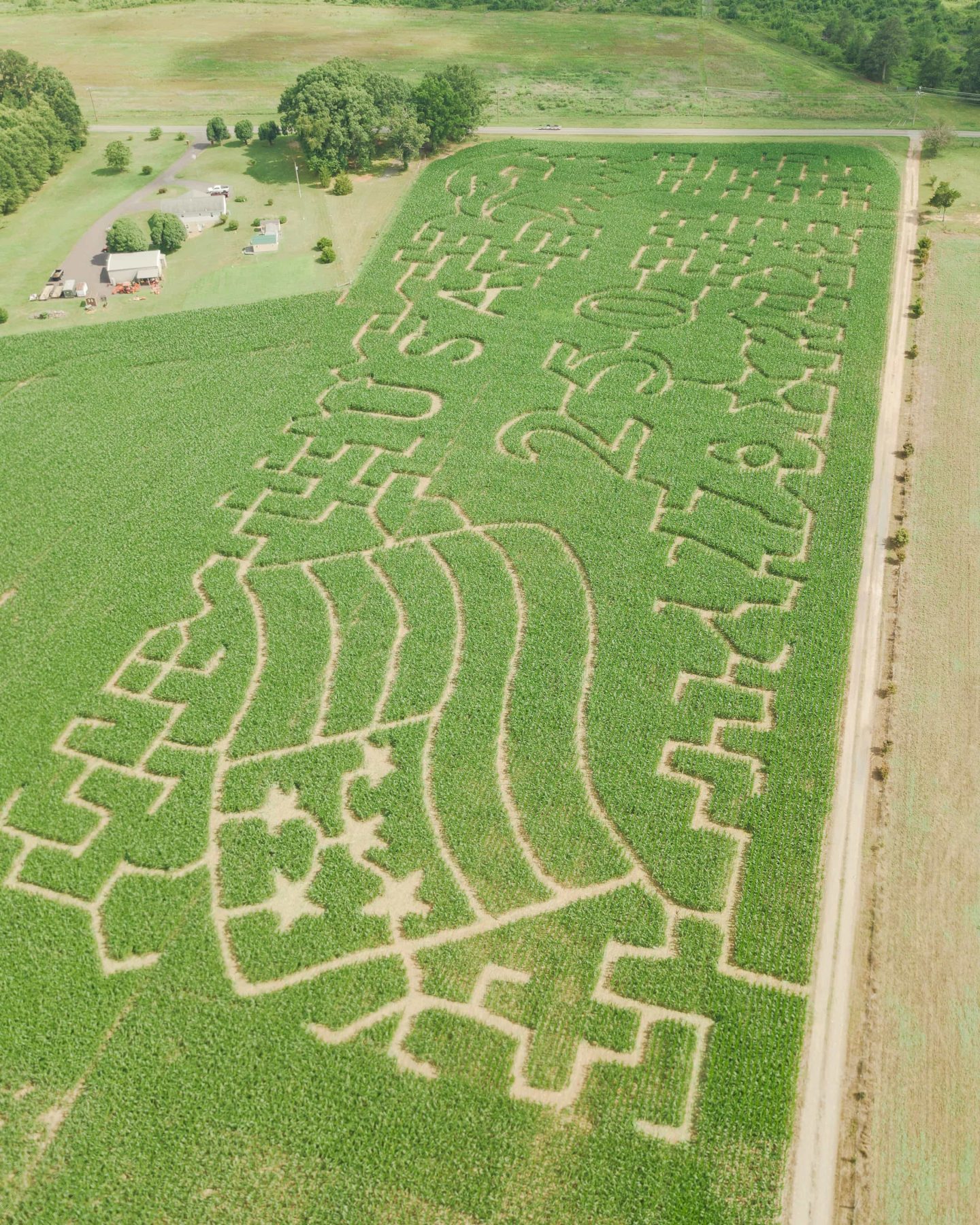 Aerial view of the 2026 Miller Farms Market corn maze featuring an American flag, bald eagle, USA, and 250 design