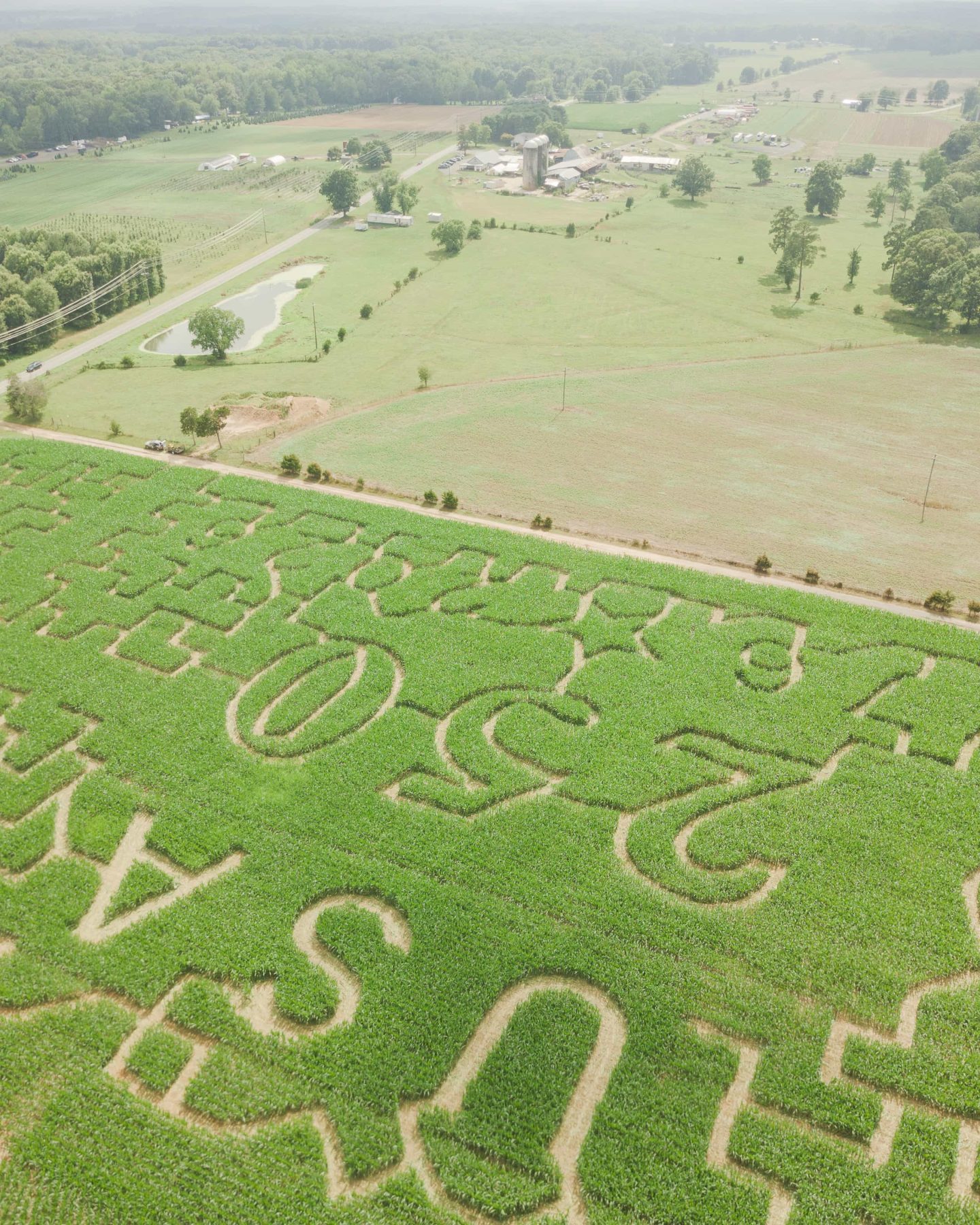 Angled aerial view of the USA and 250 sections of the Miller Farms Market maze overlooking the farm