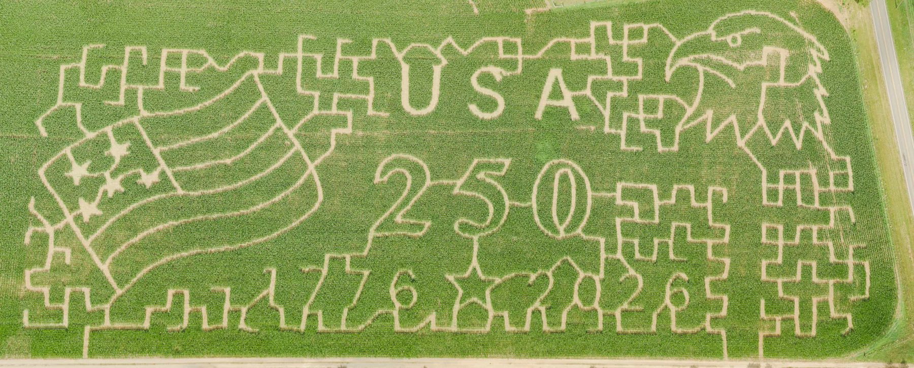 Full overhead view of the Miller Farms Market patriotic corn maze with a flag, eagle, USA, 250, 1776, and 2026