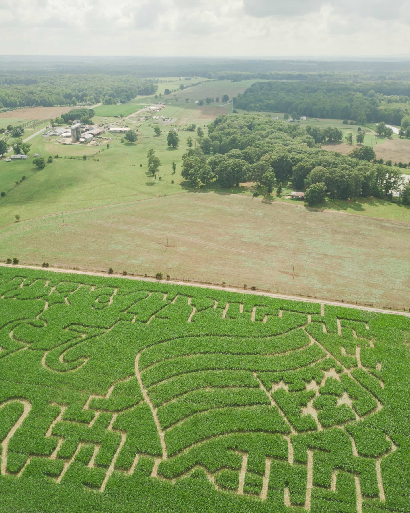 Angled aerial view of the USA and 250 sections of the Miller Farms Market maze overlooking the farm