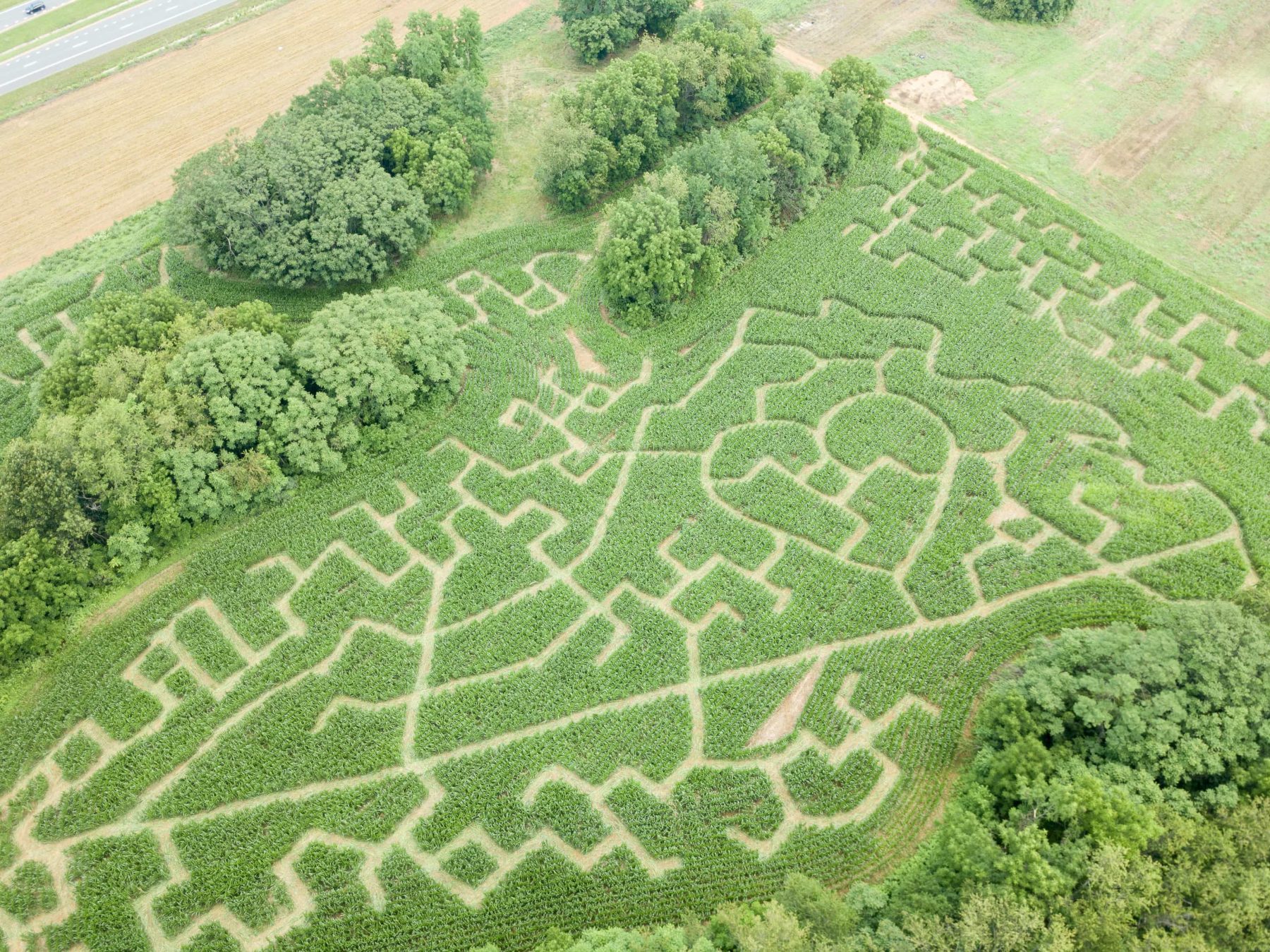 Wide aerial view of the Troyers Farm maze winding around the field’s trees and natural boundaries