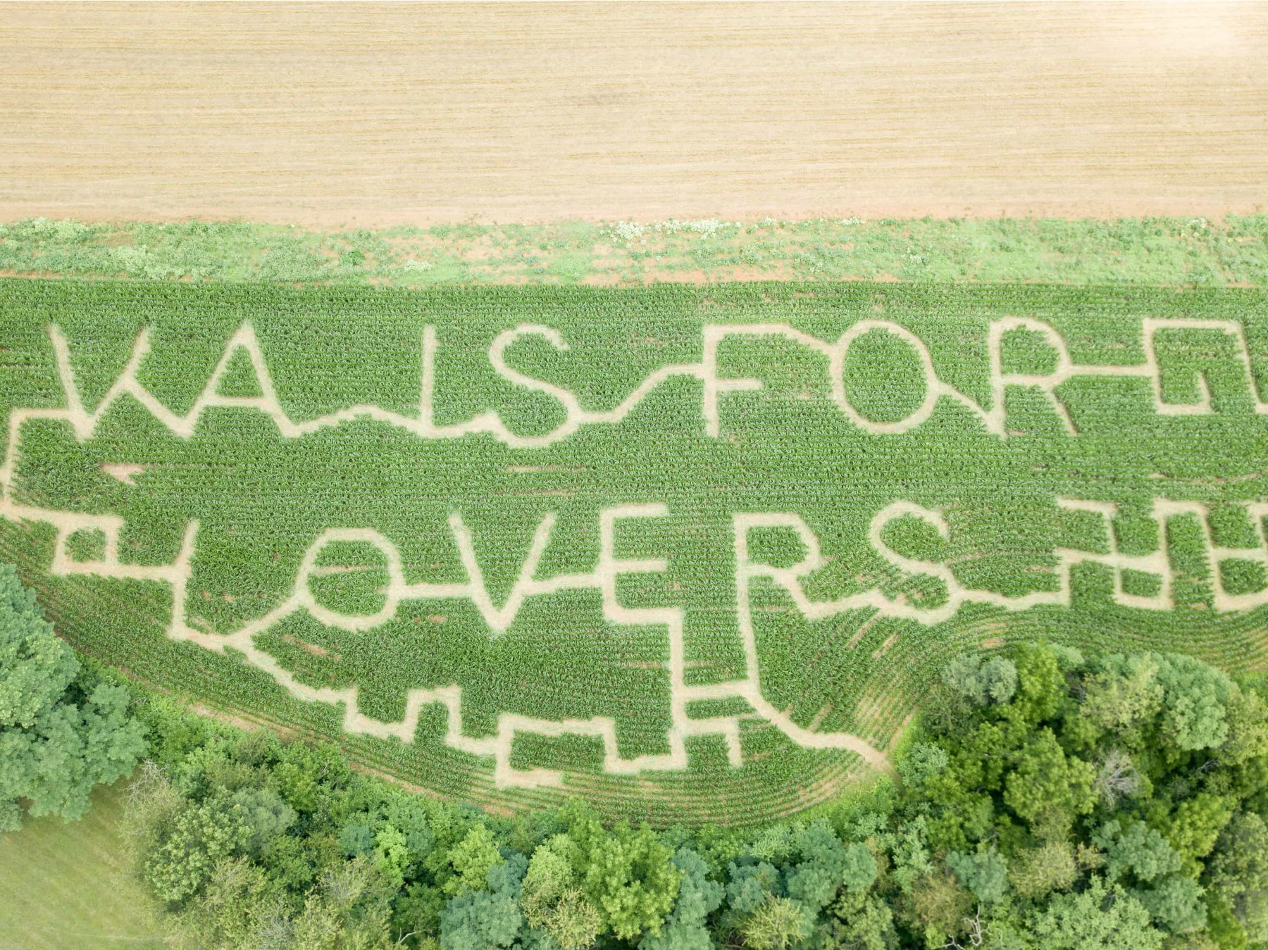 Overhead view of the 2026 Troyers Farm corn maze featuring the words VA is for Lovers
