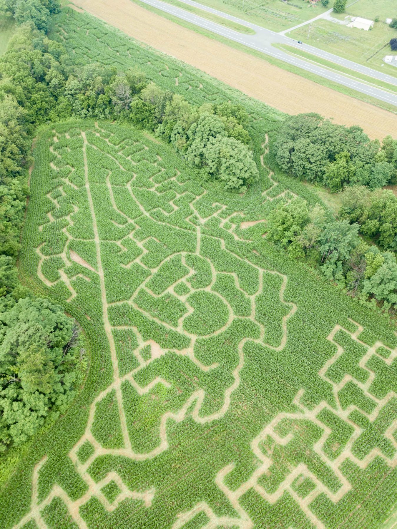 Angled aerial view of the heart and winding trails in the Virginia-themed Troyers Farm corn maze
